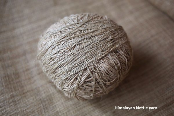 Himalayan nettle
