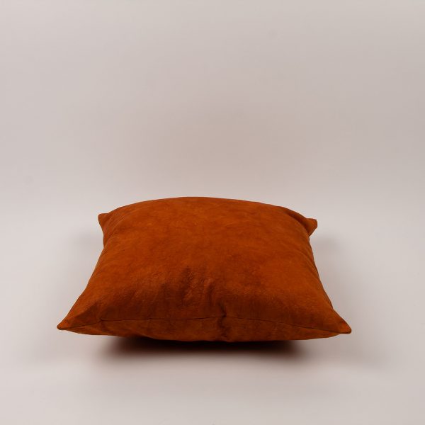 Daphley cushion Jalpa BR9