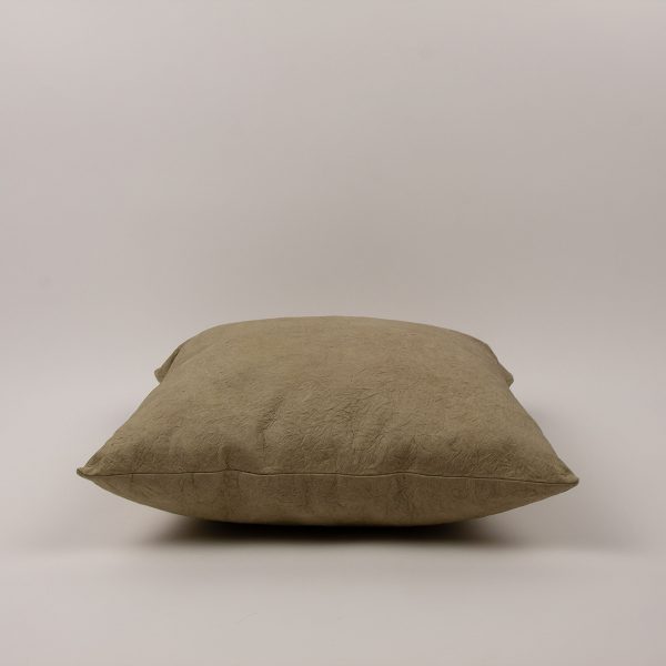 Daphley cushion Jalpa N7